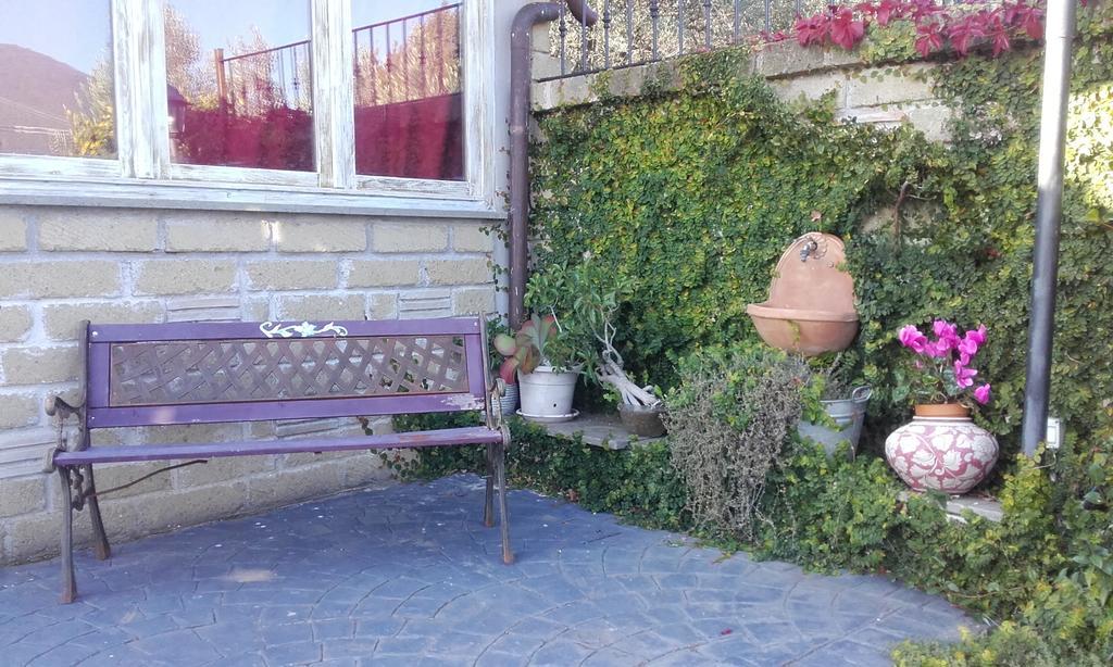 Apartament Il Poggio Degli Ulivi Trevignano Romano Pokój zdjęcie