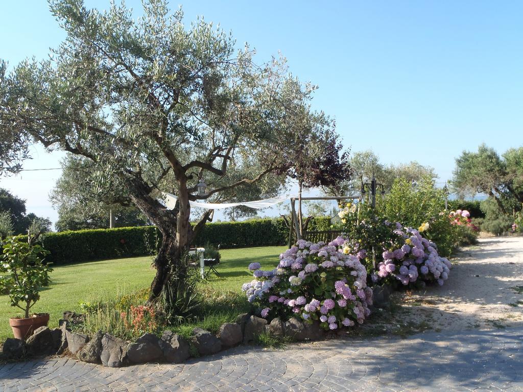 Apartament Il Poggio Degli Ulivi Trevignano Romano Pokój zdjęcie