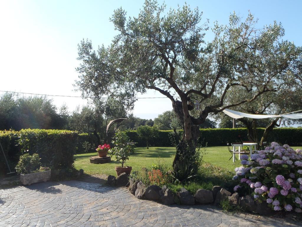 Apartament Il Poggio Degli Ulivi Trevignano Romano Pokój zdjęcie