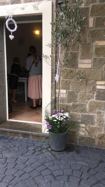 Apartament Il Poggio Degli Ulivi Trevignano Romano Zewnętrze zdjęcie