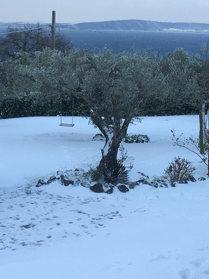 Apartament Il Poggio Degli Ulivi Trevignano Romano Zewnętrze zdjęcie