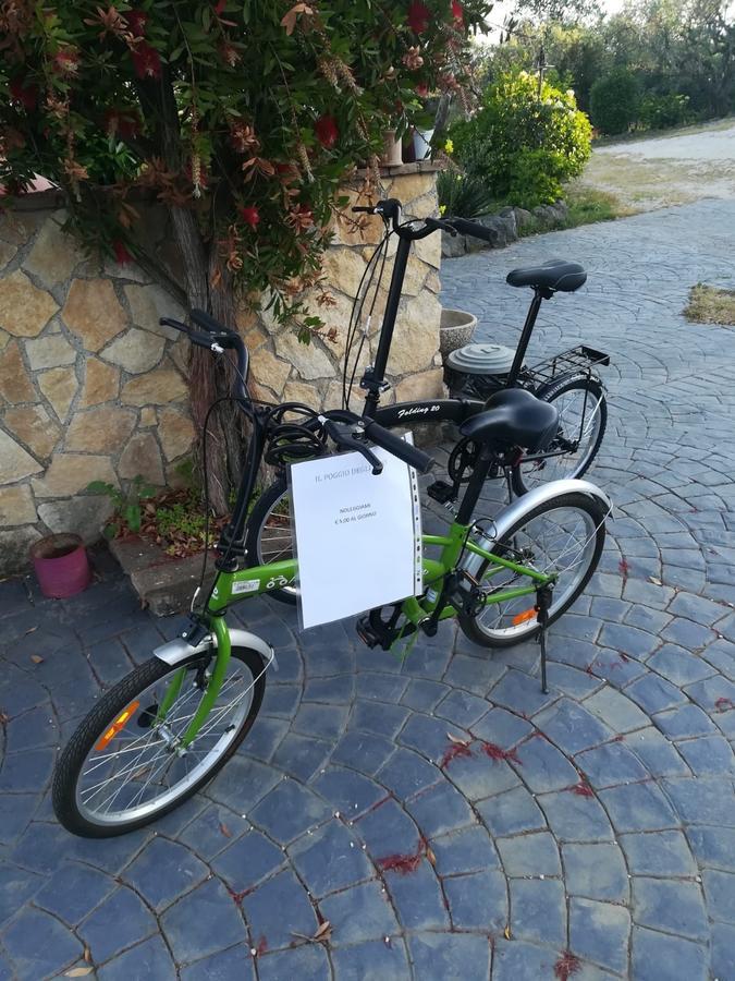 Apartament Il Poggio Degli Ulivi Trevignano Romano Zewnętrze zdjęcie