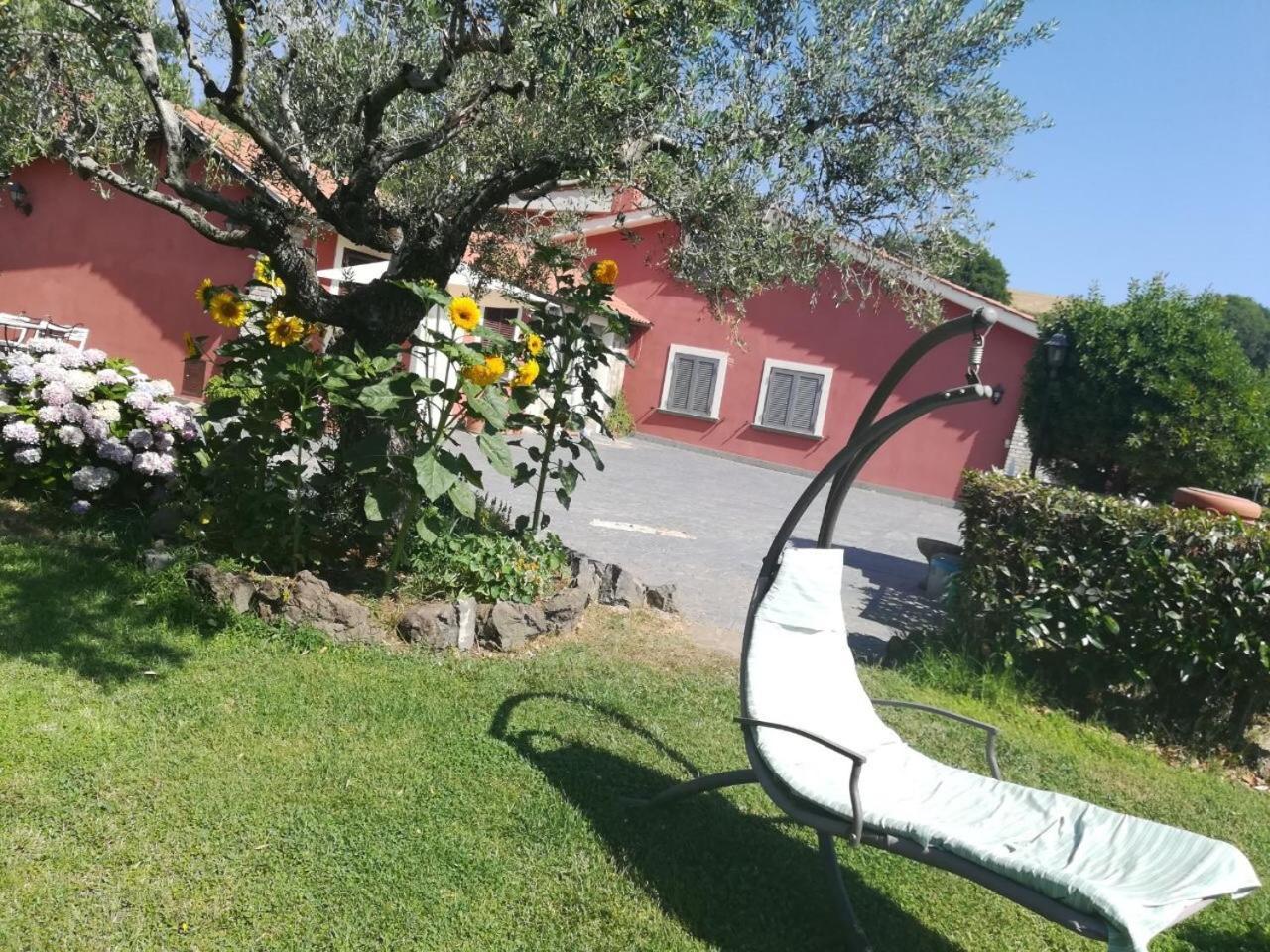 Apartament Il Poggio Degli Ulivi Trevignano Romano Zewnętrze zdjęcie
