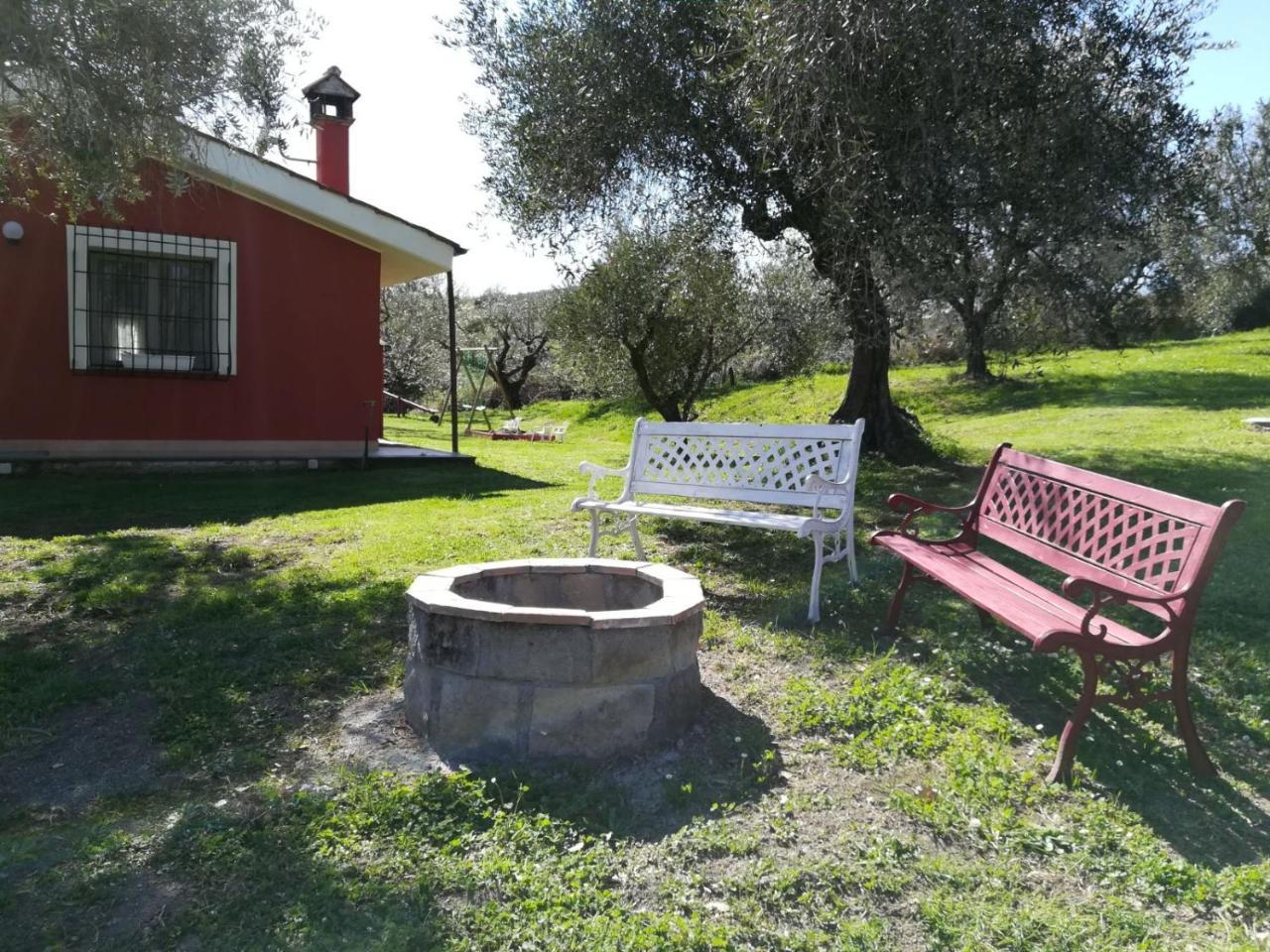 Apartament Il Poggio Degli Ulivi Trevignano Romano Zewnętrze zdjęcie
